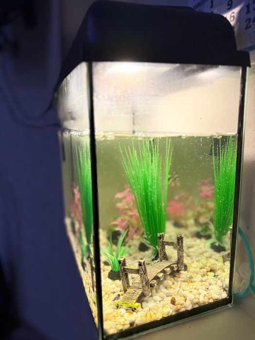 Аквариум сатылады