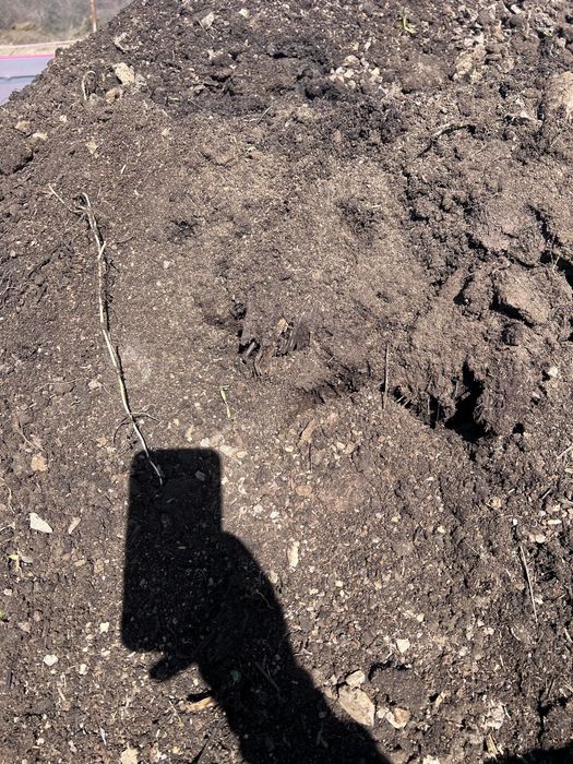 Прегоряла говежда оборска тор