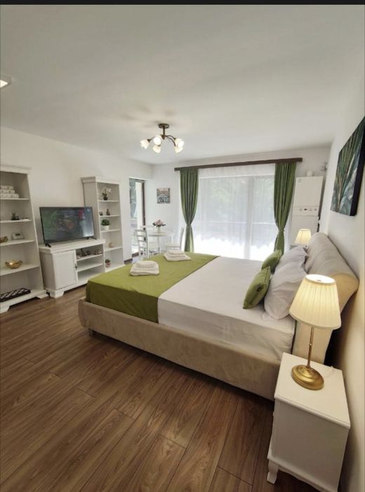 Vand apartament Studio Predeal