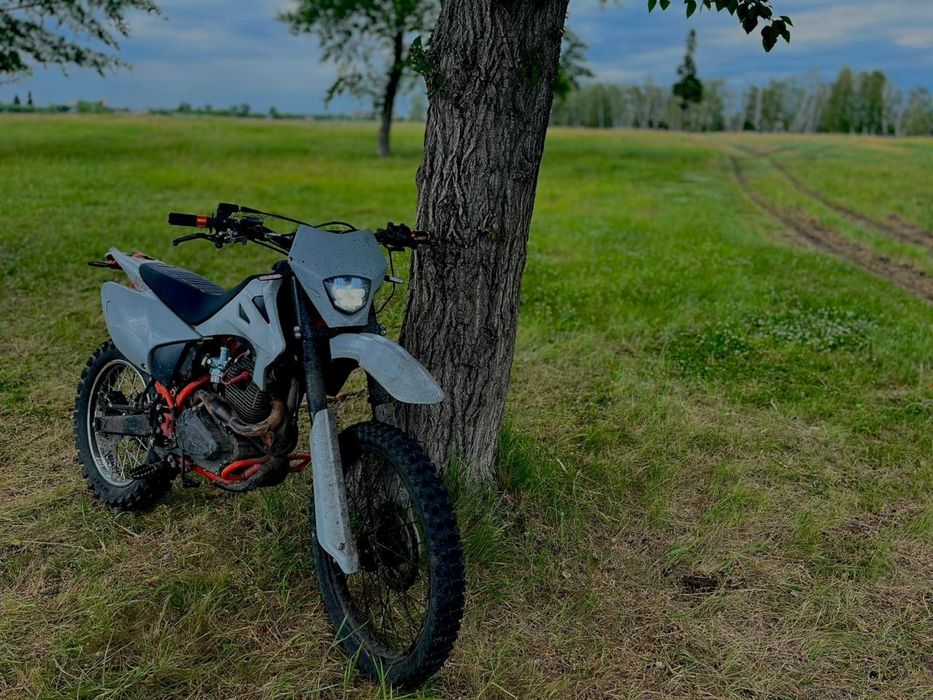 Эндуро Progasi palma 300