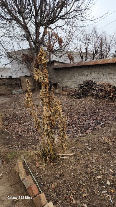 Продаётся земельный участок, Гречиский городок улица Пилла