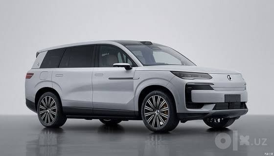 Denza N9 2025 Flagship—1300km