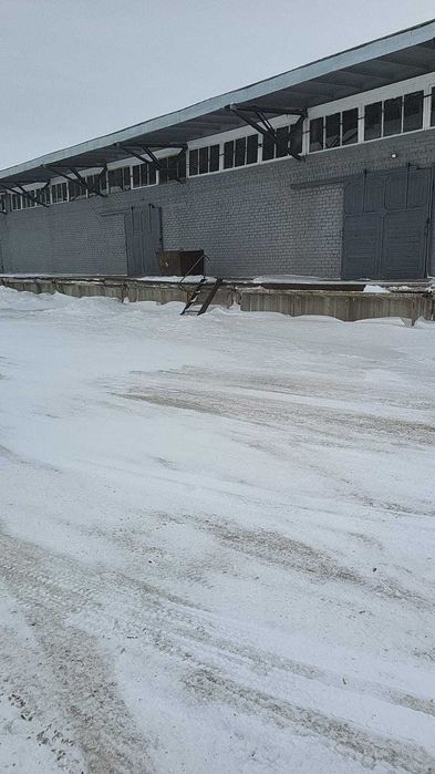 Сдам в аренду склад