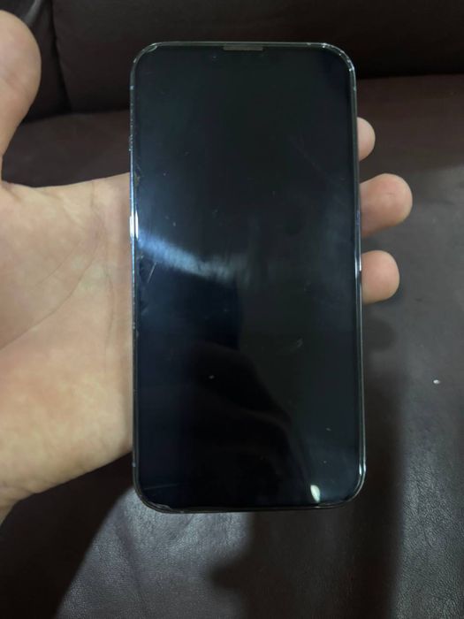iphone 13 pro ideal