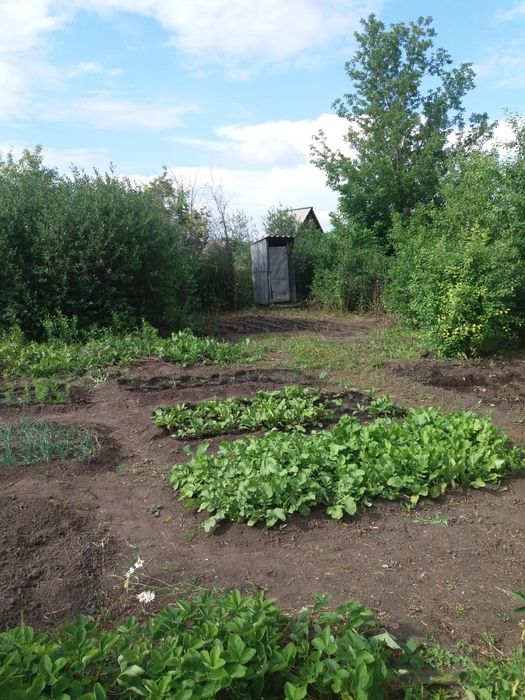 Продам дачный участок