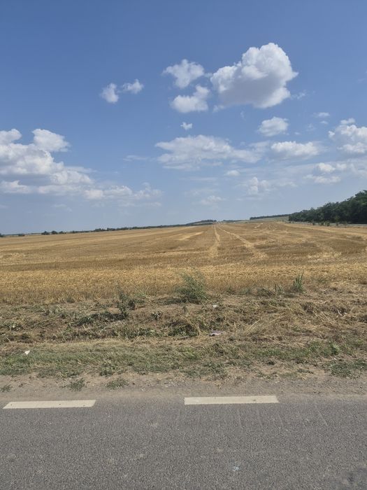 Teren extravilan
