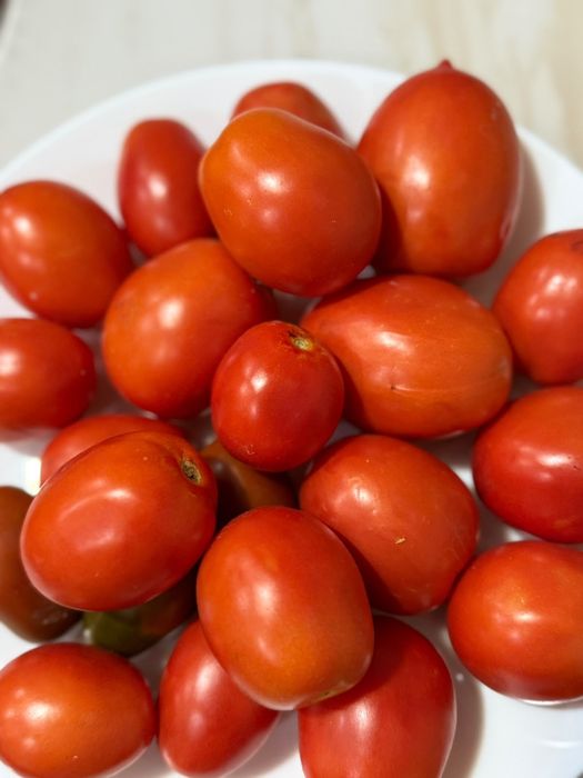 Продам помидоры дачные.