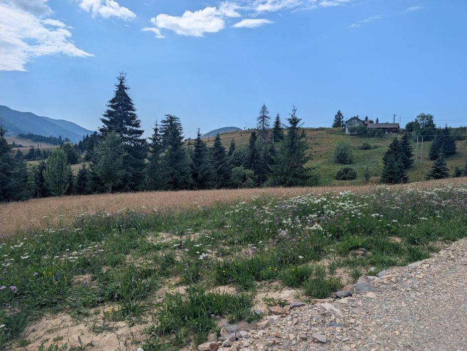 Teren de vânzare  Tihuta, 750mp  lângă Castel Dracula
