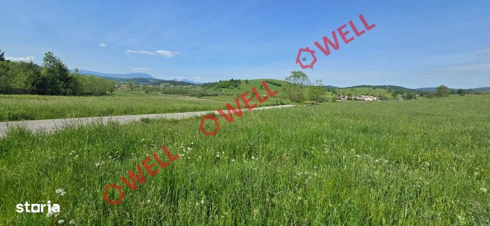 Teren de vânzare în Bărcani, pe strada Bisericii!