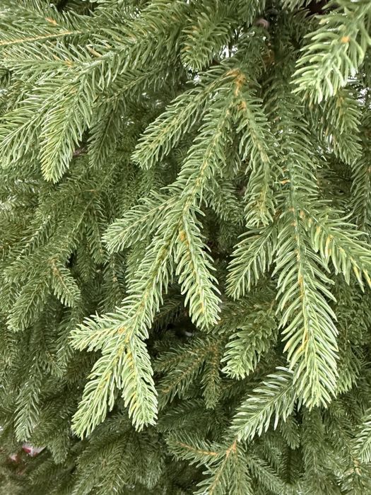 Елки Искуственные Новогодние Оптом Розница