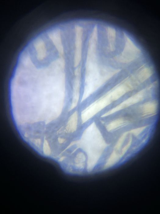 микроскоп для детей