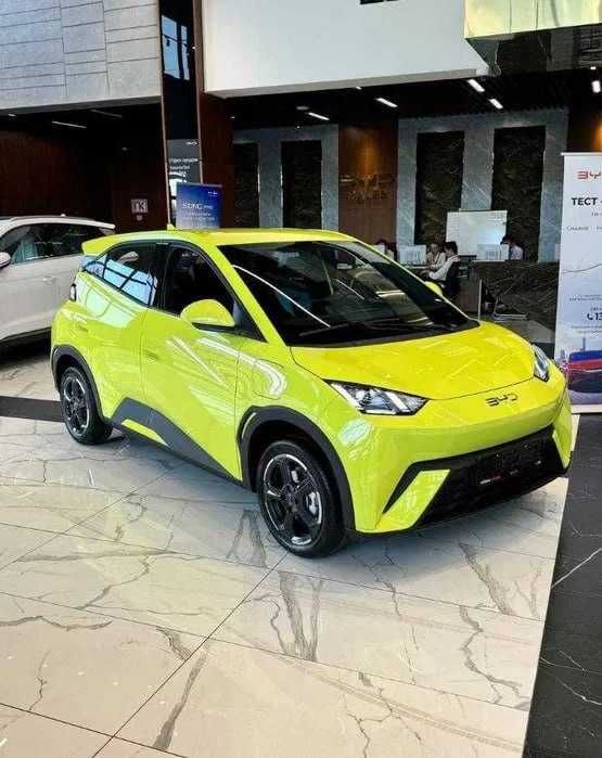 BYD Seagul Halol Nasiya va Naqtga