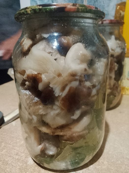 Продам грибы маринованные