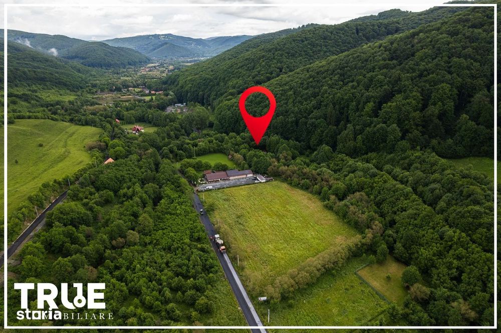 Teren intravilan 2.800 m² în Câmpu Cetății – liniște și natură