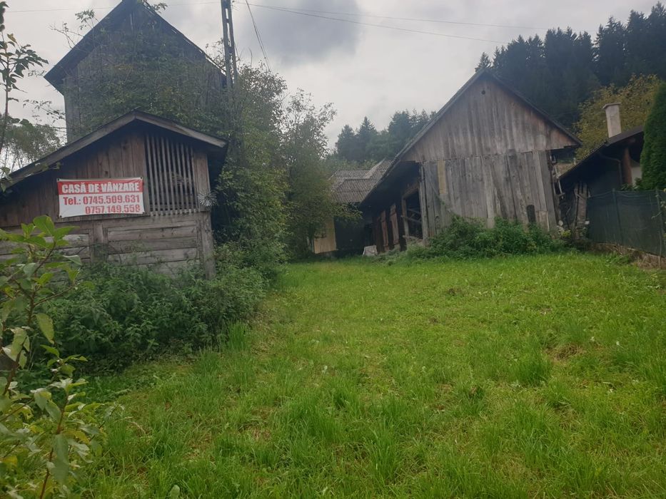 Vand teren si casa veche in viseu de jos