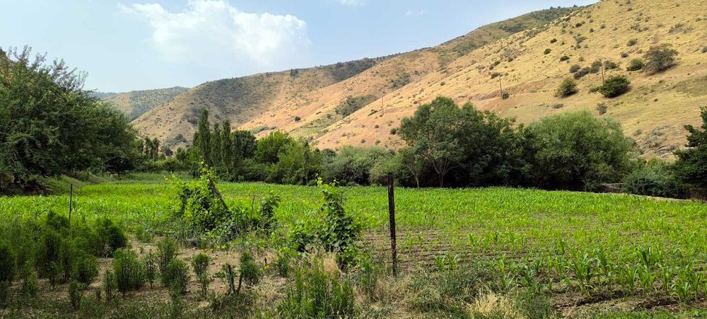 Сотилади. Экин экиш, чорвачилик ва дам олиш учун қулай ер