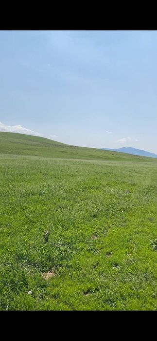 Участок жайылым жер