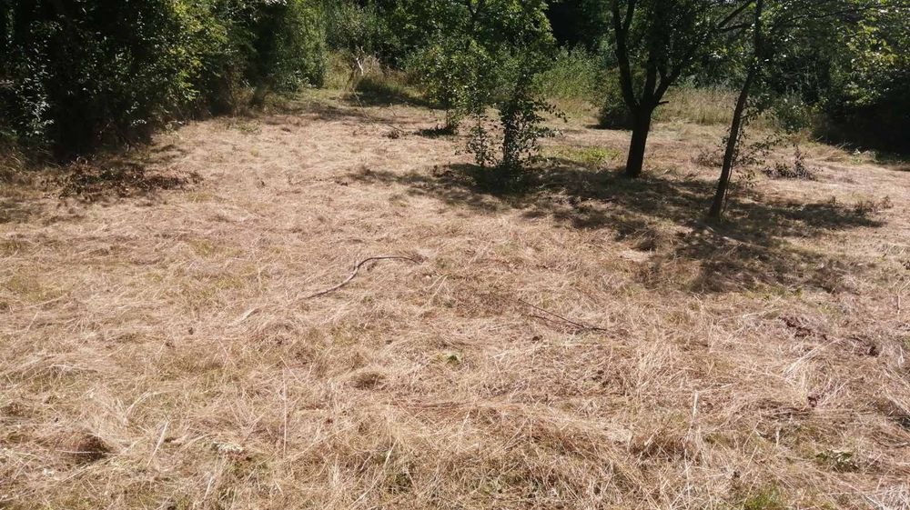 Продава се Парцел в с. Дръмша, Област София-област - 949 кв.м за 50 €/кв.м - Снимка #2