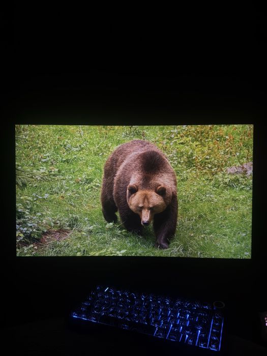 Monitor 27 razmer 60 hz arzon narxda