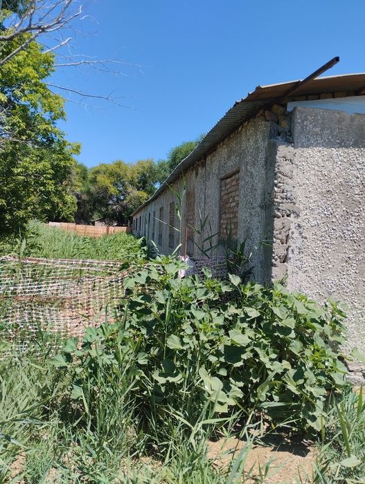 Жевотноводческая база