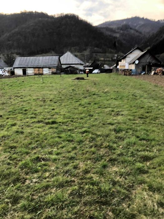 De vânzare teren proprietate privată, 71 ari in Ruscova jud. Maramureș