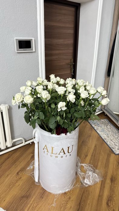 Срочно продам цветы! 10-15к. Торг есть