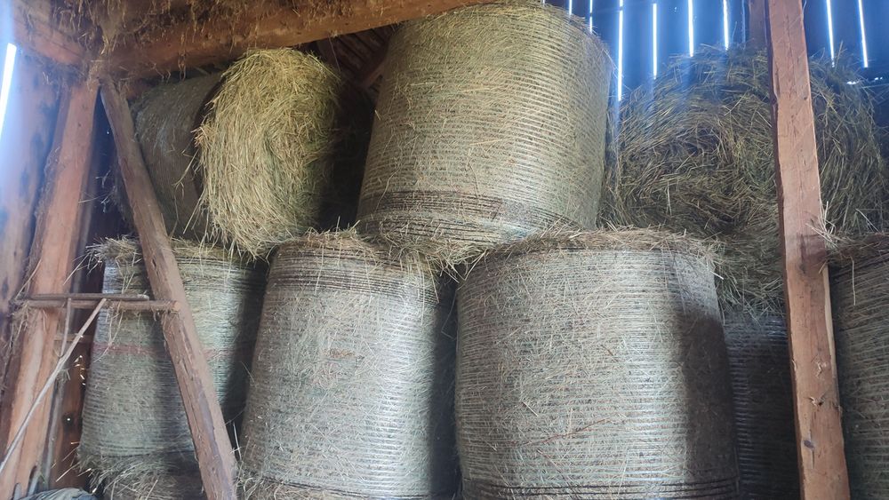 Baloti rotunzi fan si otava