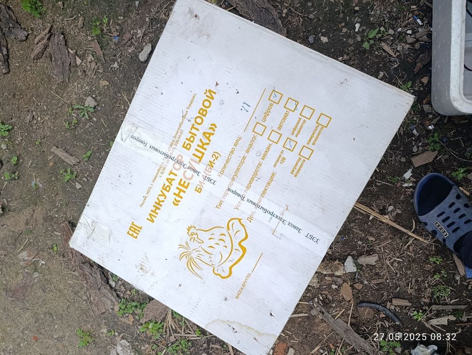 Инкубатор для цыплята