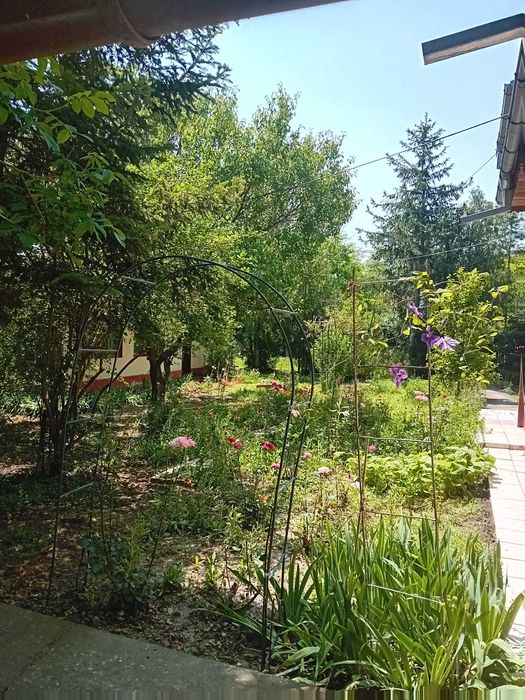 Casă de vânzare sat Cunesti, com. Grădiștea