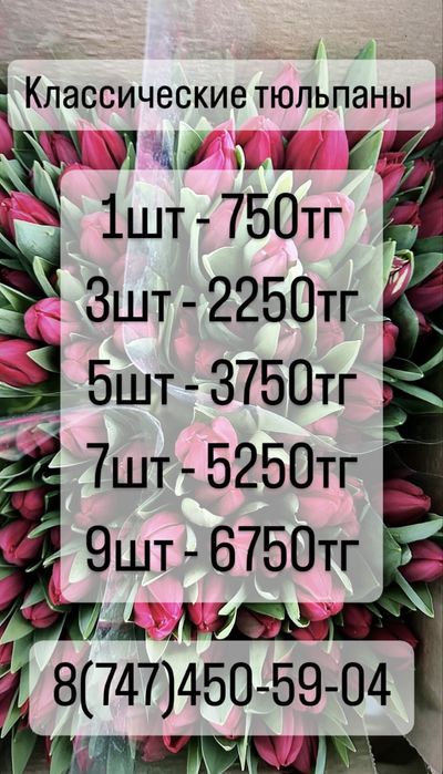Тюльпаны Семей !!!