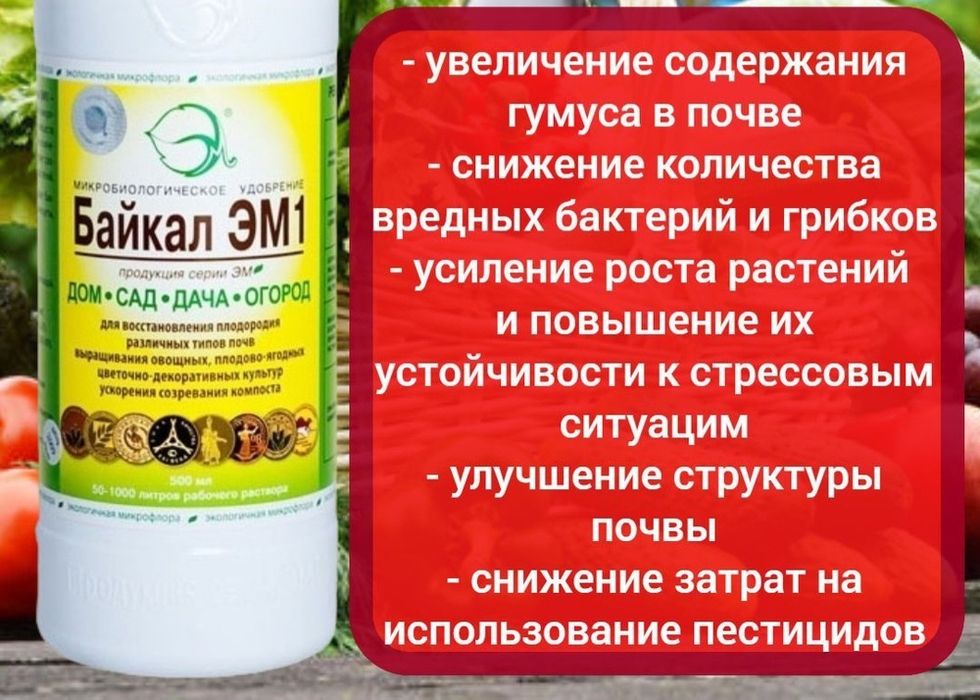 БАЙКАЛ ЭМ-1. В розлив.