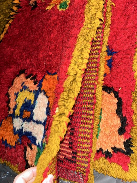 Вълнен китеник