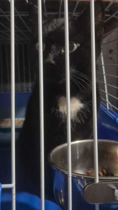 По дороге к счастью - девочка Юша