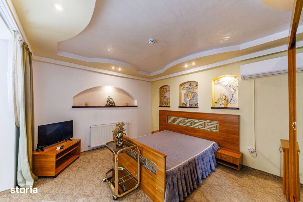 Complex HoReCa functional – 13.000 mp, venituri active, 15 km Timiso