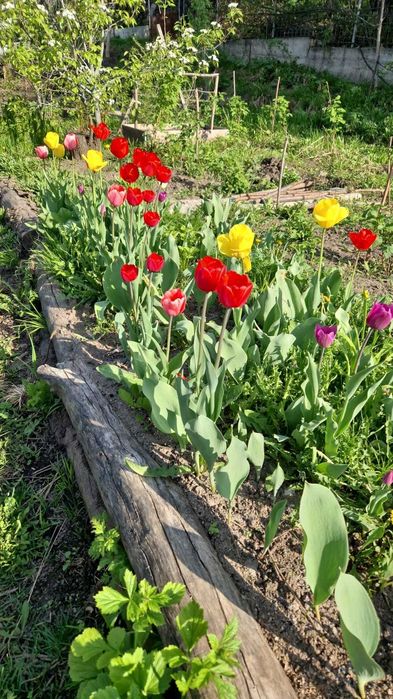 Отдельно стоящий дом