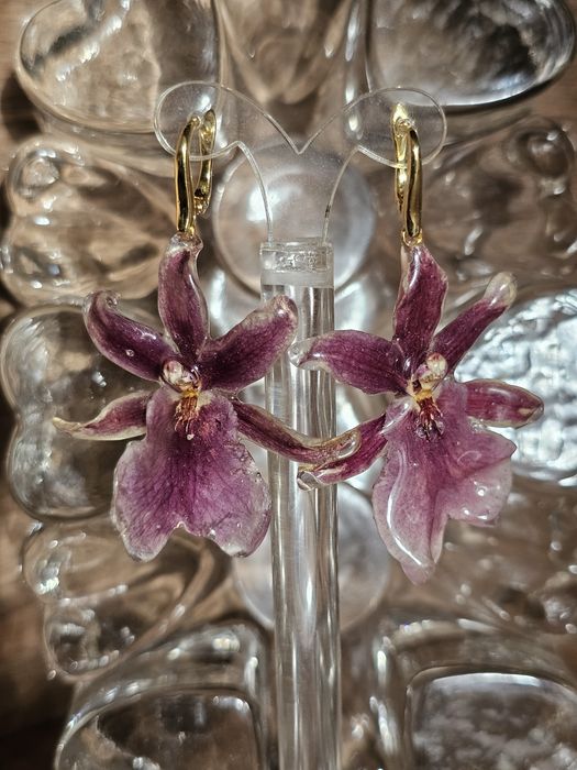 Обеци с естествен цвят на мини орхидея Miltonia.