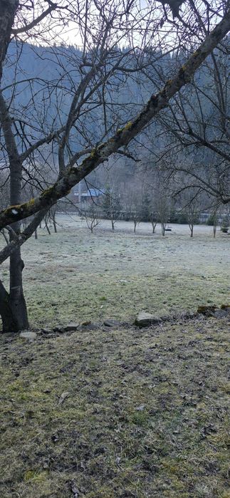 Vând casă la munte pe valea Bistriței în Farcasa-Neamt!