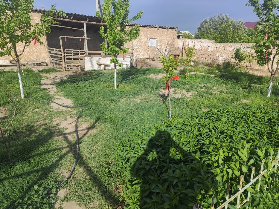 Үй сатылады тез арада.