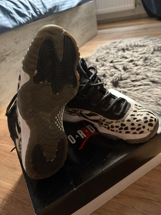 Air Jordan 11 Retro Animal Instinct