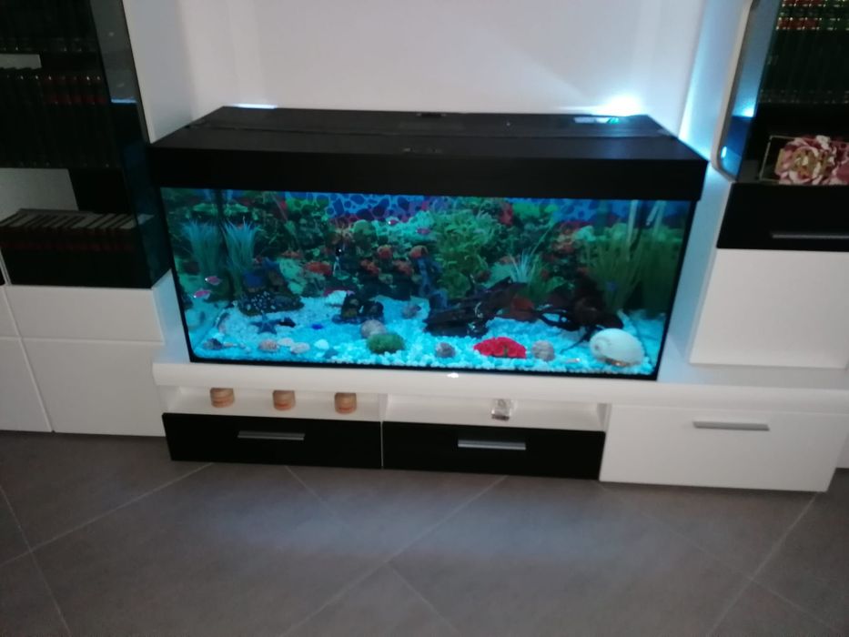 Acvariu pesti eheim 1200x500x500