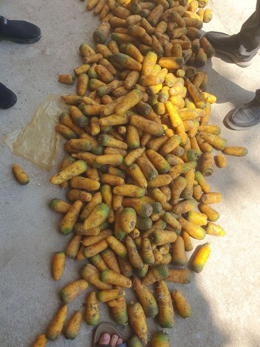 Sabzi sariq sotiladi