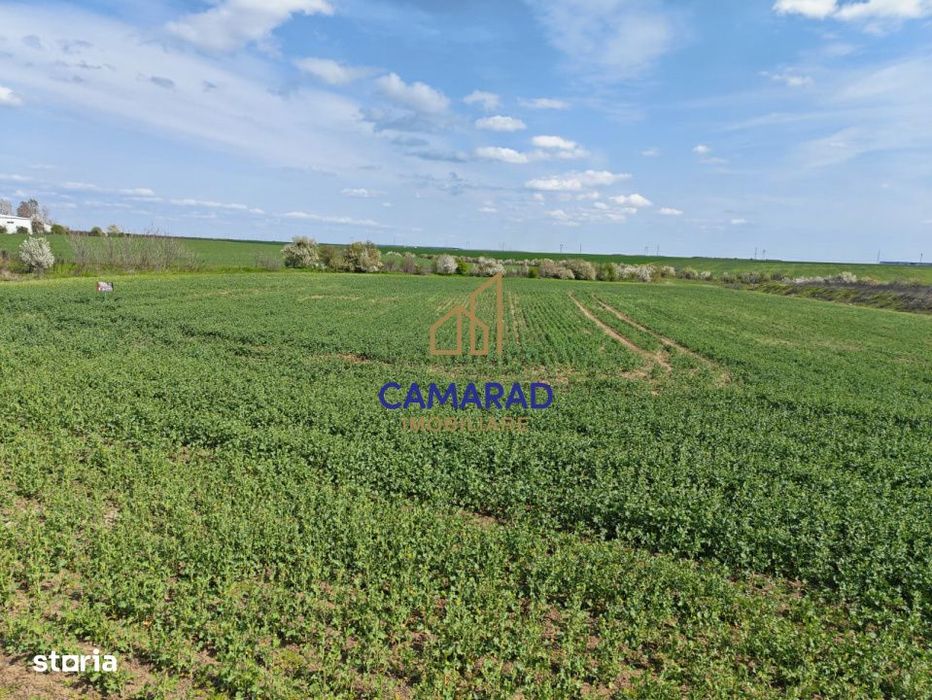 Teren intravilan 11.225 mp | Popesti-Leordeni | Sos. de Centura