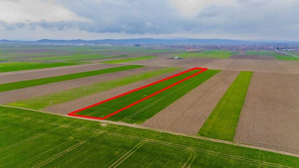 Comision 0 %, teren agricol extravilan Prejmer