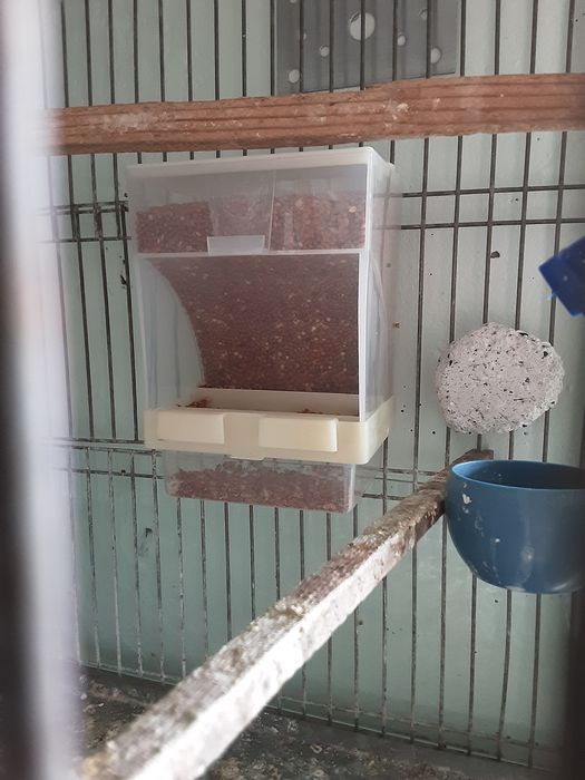 Автокормушки для птиц