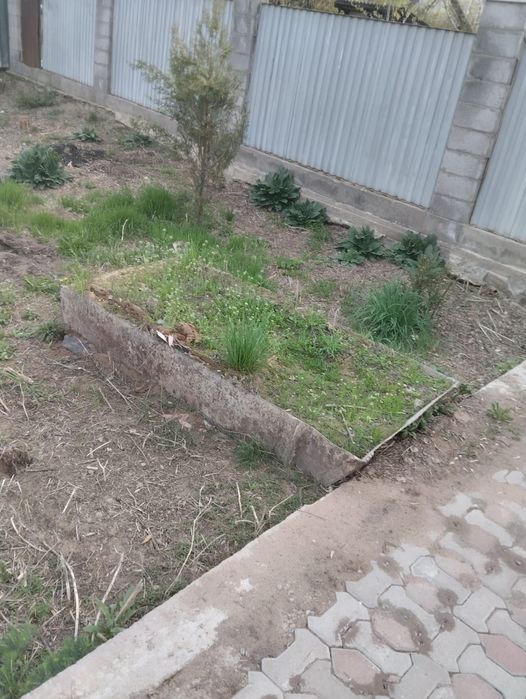 Железный бадия, длы строики