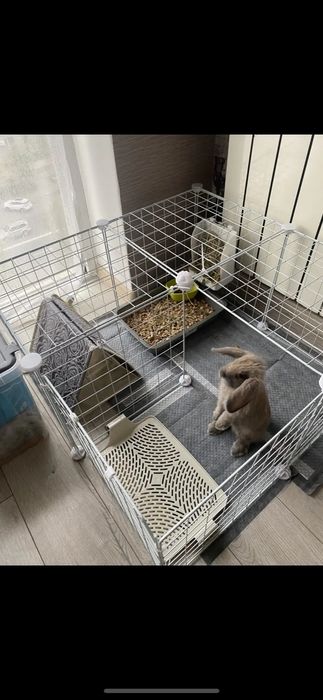 Вольер для питомца