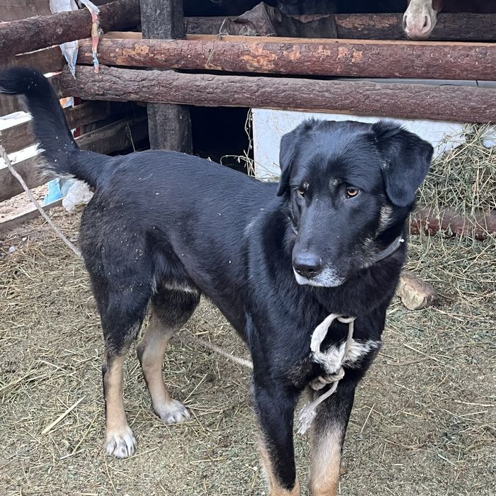 Осы тобет сатылады