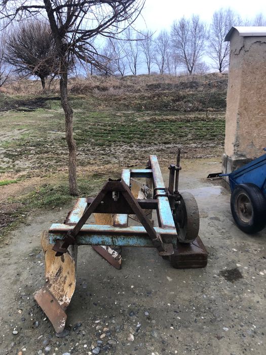 Pluk yaxshi holatda!