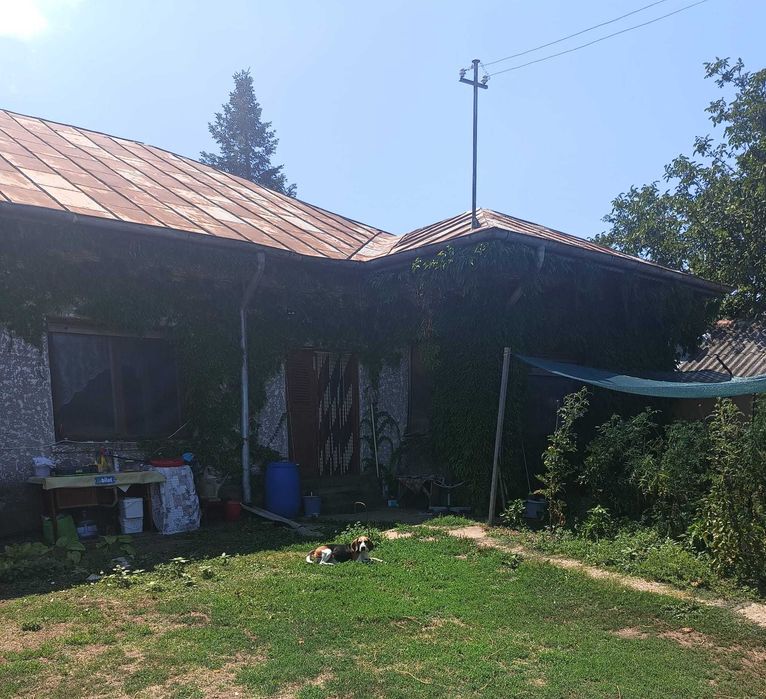 Casa de vânzare Bujoreni, Teleorman.