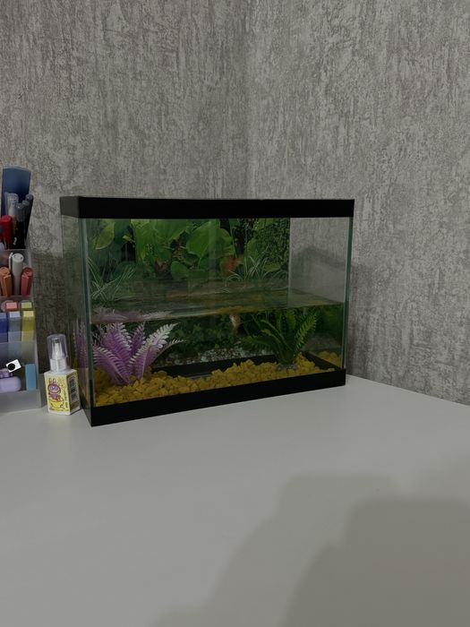 Продам аквариум с рыбками